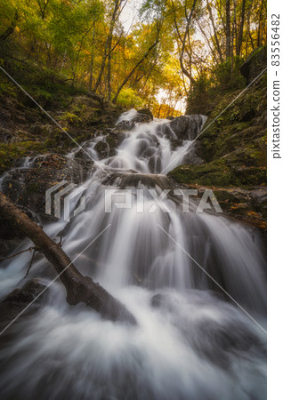 Kitaibaraki City, Ibaraki Prefecture Autumn leaves of Ochiun Waterfall and Chisaru Waterfall Kitaibaraki City, Ibaraki Prefecture Autumn leaves of Ochiun Waterfall and Chisaru Waterfall 83556482