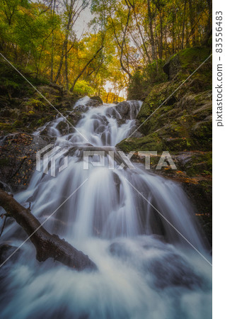 Kitaibaraki City, Ibaraki Prefecture Autumn leaves of Ochiun Waterfall and Chisaru Waterfall Kitaibaraki City, Ibaraki Prefecture Autumn leaves of Ochiun Waterfall and Chisaru Waterfall 83556483
