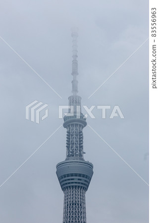 朦朧的天空樹 83556963