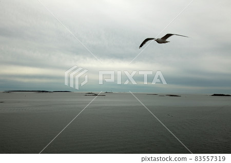 Helsinki harbor landscape with seagulls 83557319