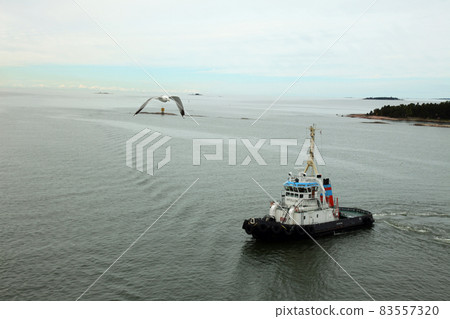Helsinki harbor landscape with seagulls 83557320