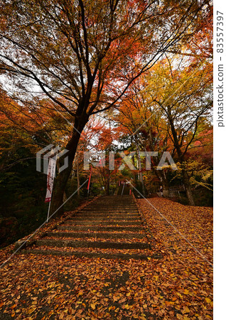 Autumn leaves at Ishiguro Temple Autumn leaves at Ishiguro Temple 83557397
