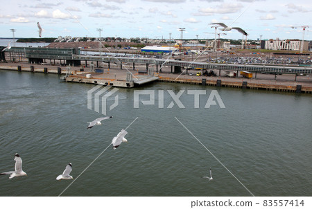 Helsinki harbor landscape with seagulls 83557414