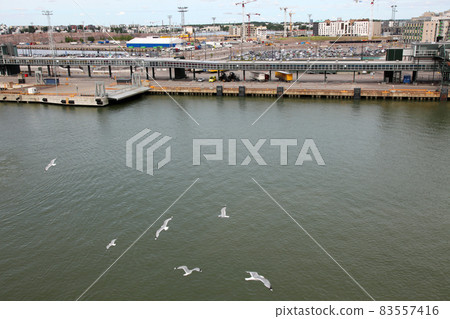 Helsinki harbor landscape with seagulls 83557416