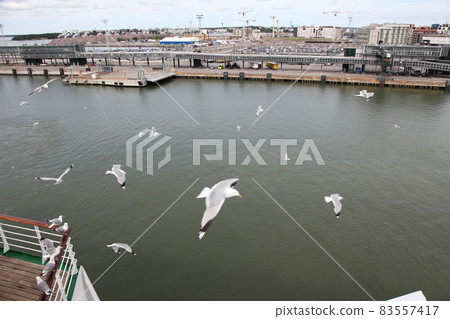 Helsinki harbor landscape with seagulls 83557417