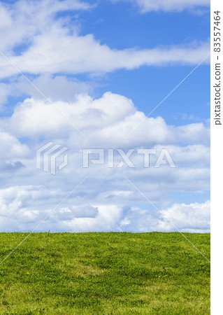 Green grass background showing an horizon of cumulous fluffy clouds Green grass background showing an horizon of cumulous fluffy clouds 83557464