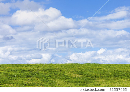 Green grass background showing an horizon of cumulous fluffy clouds Green grass background showing an horizon of cumulous fluffy clouds 83557465
