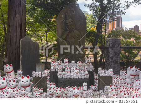 [東京世田谷區] 後德寺的一尊菩薩像，周圍環繞著大量招財貓。 83557551