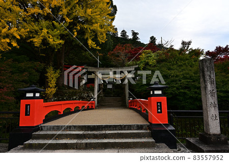 Autumn leaves of Izushi Castle Autumn leaves of Izushi Castle 83557952