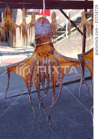 Sun-dried octopus (Himakajima, Aichi Prefecture) Sun-dried octopus (Himakajima, Aichi Prefecture) 83558726