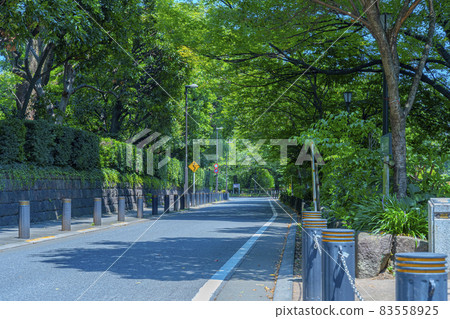 Chidorigafuchi War Dead Cemetery "War Dead Memorial Facility established by the Government of Japan" sidewalk 83558925