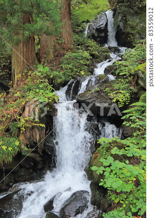Akiyama-go Mitama Fudoson Falls 83559012