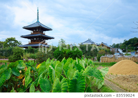 Hokiji Temple Mie Pagoda Tabata Nara 83559024