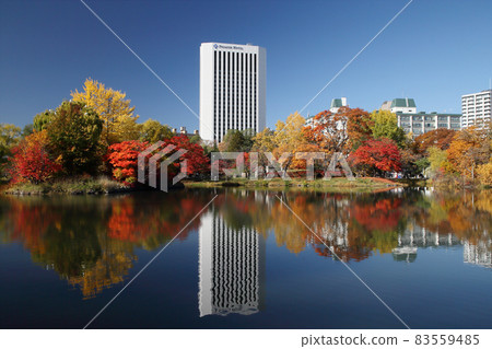 Autumn leaves of Nakajima Park 83559485