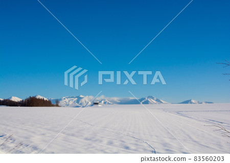 Snow field, snowy mountain and blue sky (Tokachidake) Snow field, snowy mountain and blue sky (Tokachidake) 83560203