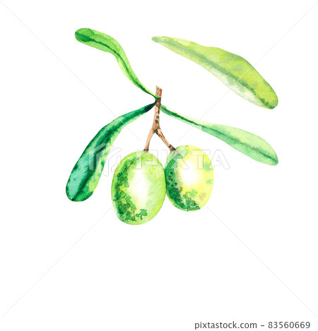 Watercolor sprig of olives Watercolor sprig of olives 83560669