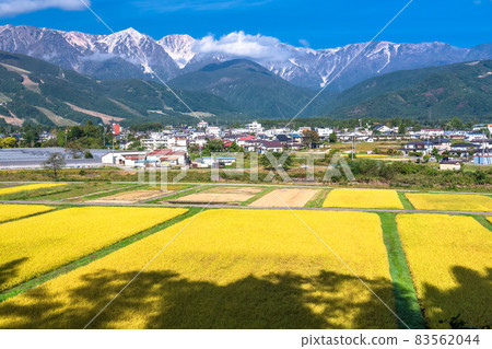 《Nagano Prefecture》 Hakuba Village Rural Scenery / Autumn Harvest Time 《Nagano Prefecture》 Hakuba Village Rural Scenery / Autumn Harvest Time 83562044