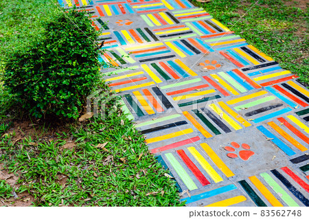 Top view on pieces of multicolored ceramic tiles decorated in garden. Old pavement of tiles textured. Street mosaic cobblestone sidewalk. Abstract,background and pattern of ceramic tile on the floor. 83562748