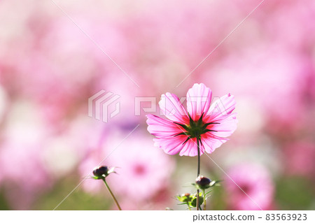 宇宙3380-- 宇宙3380-- 83563923