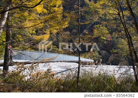 Takase Valley Suspension bridge surrounded by autumn leaves Omachi City, Nagano Prefecture Takase Valley Suspension bridge surrounded by autumn leaves Omachi City, Nagano Prefecture 83564362