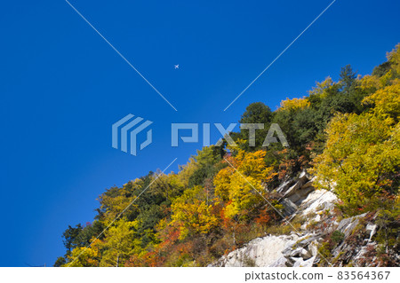 Takase Valley Beautiful autumn leaves, blue sky and jet plane Omachi City, Nagano Prefecture Takase Valley Beautiful autumn leaves, blue sky and jet plane Omachi City, Nagano Prefecture 83564367