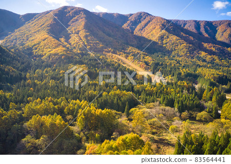 Beautiful autumn colors of the mountains of Sanosaka seen from the Omi Marsh, Hakuba Village, Nagano Prefecture (aerial view by drone) Beautiful autumn colors of the mountains of Sanosaka seen from the Omi Marsh, Hakuba Village, Nagano Prefecture (aerial view by drone) 83564441