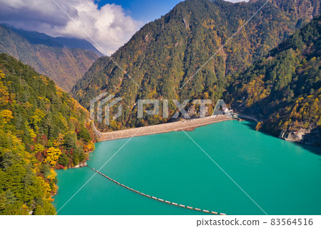 Beautiful emerald green lake surface of Takase dam surrounded by autumn leaves Omachi City, Nagano Prefecture (aerial view by drone) 83564516
