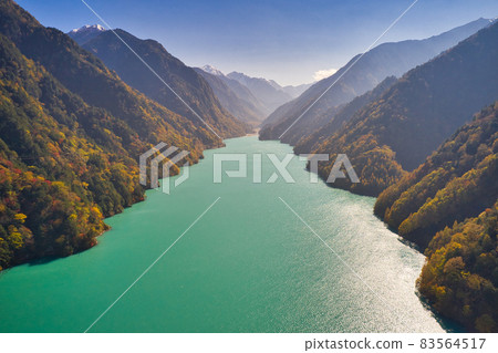 Beautiful emerald green lake surface of Takase dam surrounded by autumn leaves Omachi City, Nagano Prefecture (aerial view by drone) 83564517