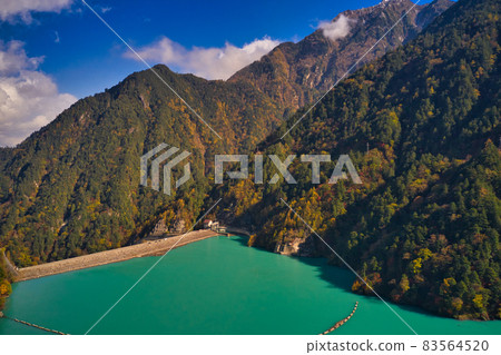 Beautiful emerald green lake surface of Takase dam surrounded by autumn leaves Omachi City, Nagano Prefecture (aerial view by drone) 83564520