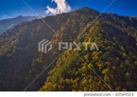 長野縣大町市高瀨湖水壩岸邊的一座山,被美麗的紅葉環繞(無人機鳥瞰) 長野縣大町市高瀨湖水壩岸邊的一座山,被美麗的紅葉環繞(無人機鳥瞰) 83564523