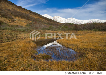 被美麗的秋葉和白雪覆蓋的白馬三山八方根自然研究路白馬村包圍的黑石平 被美麗的秋葉和白雪覆蓋的白馬三山八方根自然研究路白馬村包圍的黑石平 83564603