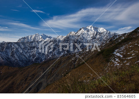 美麗的深秋鹿島柳岳/五龍岳和秋葉八方根自然研究路長野縣白馬村 83564605