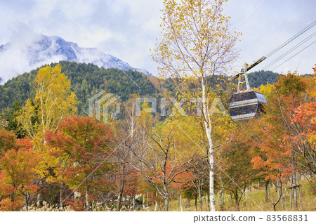 The area around Shirakabadaira Station on the Shin-Hotaka Ropeway in full bloom The area around Shirakabadaira Station on the Shin-Hotaka Ropeway in full bloom 83568831