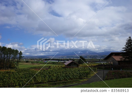 從坎帕納六花亭眺望富良野的秋景 83568913