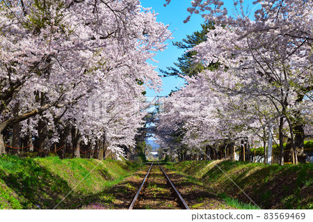 櫻井津輕鐵道蘆之公園站 83569469