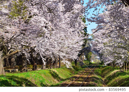 櫻井津輕鐵道蘆之公園站 83569495