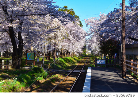 Sakurakei Tsugaru Railway Ashinokoen Station Sakurakei Tsugaru Railway Ashinokoen Station 83569789