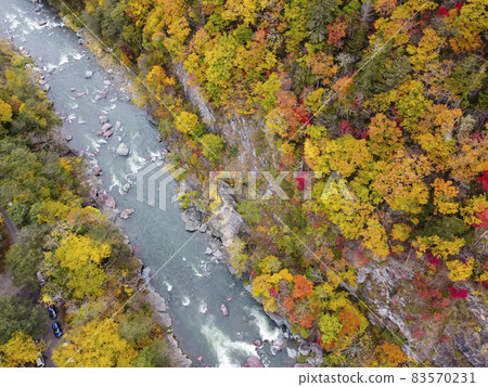 Aerial view Autumn leaves of Akaiwa Aoikyo (Shimukappu, Hokkaido) 83570231