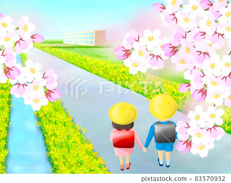 Elementary school students heading to school along the riverside where rape blossoms and cherry blossoms bloom Elementary school students heading to school along the riverside where rape blossoms and cherry blossoms bloom 83570932