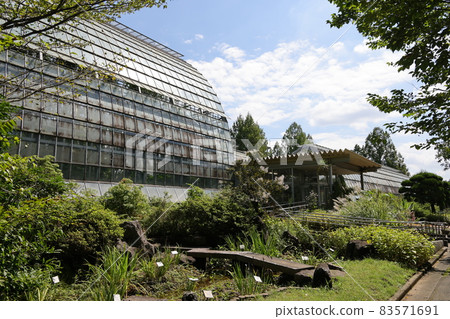 埼玉市綠區大崎埼玉市庭園植物園 埼玉市綠區大崎埼玉市庭園植物園 83571691