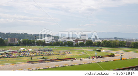 賽馬東京賽馬場 83571914