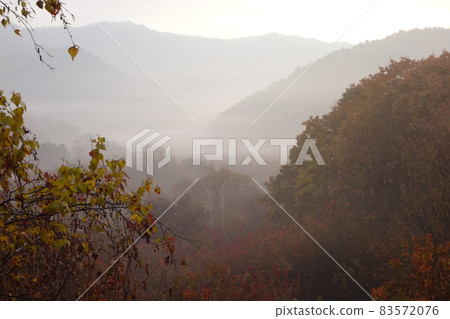 江原道、麟蹄郡、南面、甲屯裡、秘密花園 江原道、麟蹄郡、南面、甲屯裡、秘密花園 83572076