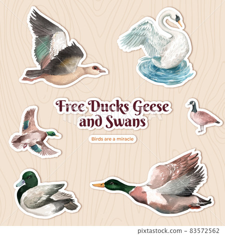 Sticker template with duck and swan concept,watercolor style 83572562