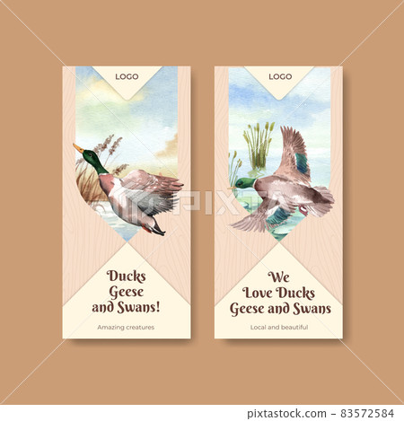 Flyer template with duck and swan concept,watercolor style 83572584