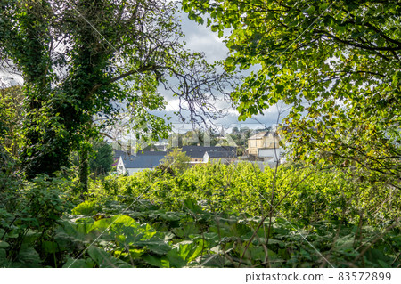 Raphoe seen through the woods from the castle in County Donegal - Ireland Raphoe seen through the woods from the castle in County Donegal - Ireland 83572899