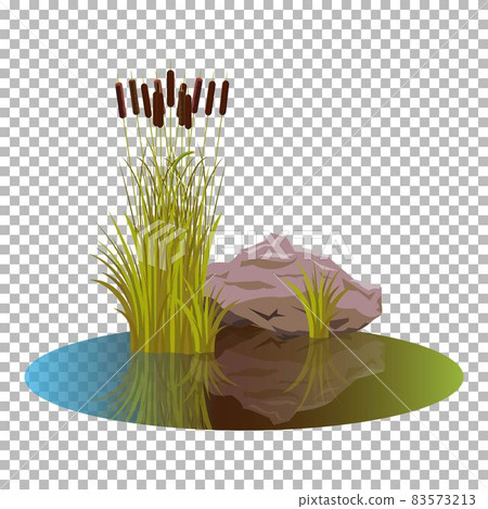 Vector cattails in the pond with bush reeds at autumn colors and mood, with stone close the water. Attractive Reeds stern, reflected in the lake water autumn landscape. Isolated on transparent. Vector cattails in the pond with bush reeds at autumn colors and mood, with stone close the water. Attractive Reeds stern, reflected in the lake water autumn landscape. Isolated on transparent. 83573213