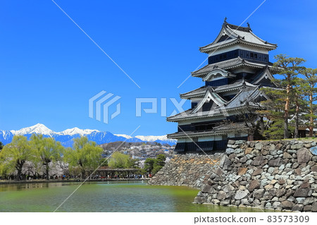 [長野縣]松本城和北阿爾卑斯山盛開 83573309