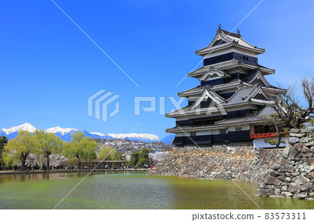 [Nagano Prefecture] Matsumoto Castle and Northern Alps in full bloom 83573311