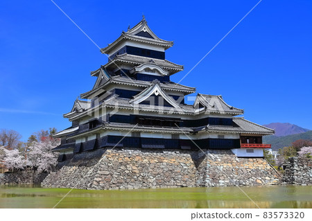 [長野縣]櫻花盛開的松本城（Da Tenshu和Tsukimi Pass） 83573320
