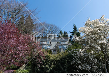 family cottage. dwelling with blooming trees in garden. residential building outside the city 83573539